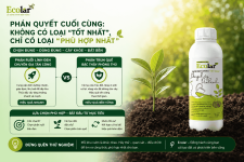 oai-tot-nhat-chi-co-loai-phu-hop-nhat_a1c3d53ad373459bbd72f505dbf0b61e (1).png