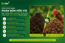 n-thach-thuc-vua-phan-ga-truyen-thong_d51e2431238a4b41b1270bebe1c0a902.png