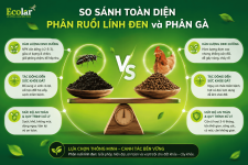an-dien-phan-ruoi-linh-den-va-phan-ga_ae10ca2c605b463ca5e76807a5e37a5b.png