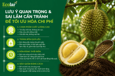 i-lam-can-tranh-de-toi-uu-hoa-chi-phi_b3da21a3f3ad4cd69f1eb149191905c6 (1).png