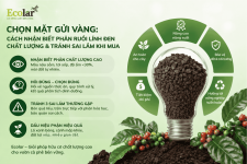 n-chat-luong-va-tranh-sai-lam-khi-mua_7189bbb23c044c7fa11b6c01d5bad624 (1).png