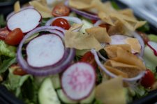 Fresh-Fattoush-Salad-Fire-and-Feast-Commerce-Township-1024x683.jpg