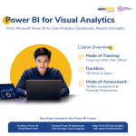 Power BI for Visual Analytics Course.png