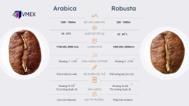 Thumbnail-website-1.jpg