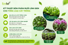 dung-cach-lai-quan-trong-hon-ban-nghi_2cd3449adf854ad3b6138b1cedc024fd (1).png