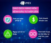 giao-dich-hang-hoa-vmex.jpg