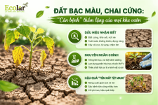 g-can-benh-tham-lang-cua-moi-khu-vuon_f54fd733fbf24d73aa1b3d2d354594a4 (1).png