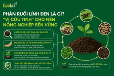 cuu-tinh-cho-nen-nong-nghiep-ben-vung_36641d0a00be434aacc0c18930b17414 (1).png