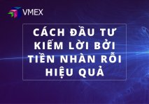 Cách-đầu-tư-kiếm-lời-bởi-tiền-nhàn-rỗi-hiệu-quả.jpg
