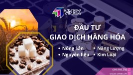 NOTI-vmex-2.jpg