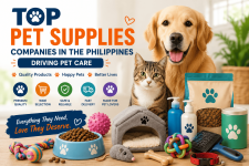ChatGPT Image Jul 6, 2026, 09_29_50 AM (1).png