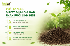 quyet-dinh-gia-ban-phan-ruoi-linh-den_3f980c10cacd482bbef6ec705b667fbb (1).png