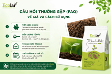 thuong-gap-faq-ve-gia-va-cach-su-dung_4ab1acf0c3eb495180a6e6dc177f1707 (1).png
