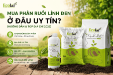 mua-phan-ruoi-linh-den-o-dau-uy-tin-huong-dan-va-top-dia-chi-.png