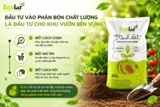 luong-la-dau-tu-cho-khu-vuon-ben-vung_cd8fab33a36c4b53a816a9666945ebfb (1).png