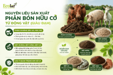 -phan-bon-huu-co-tu-dong-vat-giau-dam_fd0b33cd65b04d998eb6ed22eb44b2a9 (1).png