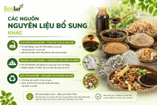 -3-cac-nguon-nguyen-lieu-bo-sung-khac_0fb93eef90534e26a679d83fe2808fdd (1).png