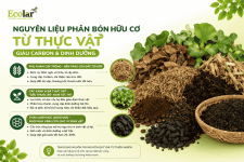 co-tu-thuc-vat-giau-carbon-dinh-duong_09e6da390f6344e7801b76fce2ca2703 (1).png
