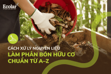 cach-xu-ly-nguyen-lieu-lam-phan-bon-huu-co-chuan-tu-a-z__90584b6fbc4241b1b8fe87712fe1d875 (1).png
