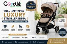 well-maintained luxury stroller India.jpg