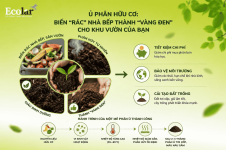 -thanh-vang-den-cho-khu-vuon-cua-ban__0068f78ac86b44a790efb3e143dc3e69 (1).png -thanh-vang-den-cho-khu-vuon-cua-ban__0068f78ac86b44a790efb3e143dc3e69 (1).png