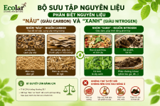 au-giau-carbon-va-xanh-giau-nitrogen__4280c3cdae1b4eb8b57f70a58ac29516 (1).png au-giau-carbon-va-xanh-giau-nitrogen__4280c3cdae1b4eb8b57f70a58ac29516 (1).png