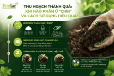 -phan-u-chin-va-cach-su-dung-hieu-qua_854a939c37744f8b8941f21db53bf155 (1).png -phan-u-chin-va-cach-su-dung-hieu-qua_854a939c37744f8b8941f21db53bf155 (1).png