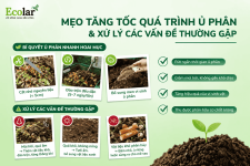 -phan-va-xu-ly-cac-van-de-thuong-gap__c57cb6d97fa74657af0f6a0be5541f3d (1).png