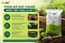 han-da-dat-chuan-buoc-tiep-theo-la-gi_82a022020b2941cd98d79bdc57c4353f (1).png