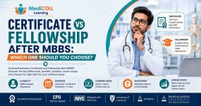 Certificate vs Fellowship After MBBS Which One Should You Choose.jpg