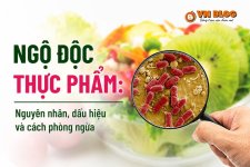 ngo_doc_chinh.jpg