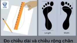 1785052687237.png