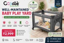 Well-Maintained Baby Play Yard.jpg