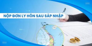 noi-nop-don-ly-hon-o-da-nang-sau-sap-nhap.jpg