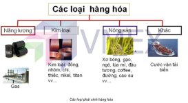 Capture (3).jpeg