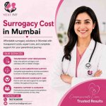 Surrogacy-Cost-in-Mumbai.jpeg