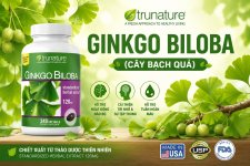 ginkgo-biloba-la-gi-cay-bach-qua.jpg
