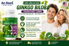 thuoc-bo-nao-ginkgo-biloba-120mg-cua-my.jpg