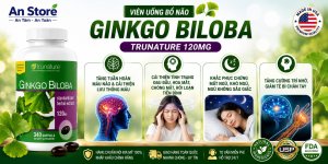 thuoc-bo-nao-ginkgo-biloba-120mg_my.jpg