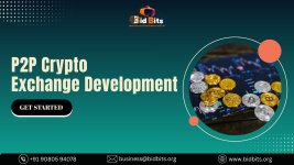 P2P Crypto Exchange Development - Bidbits.jpg