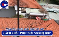 nguyen-nhan-mai-ngot-bi-dot.jpg
