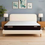 nem-lo-xo-1m8-2.jpg