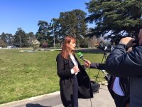 1787842146448.jpeg 1787842146448.jpeg