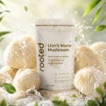 Lion's Mane Mushroom Extract Powder.jpg