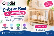 Cribs on Rent in Bangalore.jpg