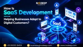 saas development (1).jpg