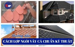 cach-lop-ngoi-vay-ca.jpg