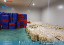 1791772811133_46175213116735655_371852844706449450_c775dc99a2cd00b43bff63fb86fa8a22.jpg
