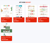 danh-muc-website-my-pham-mau-cua-seoviet.png