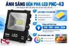 uu-diem-den-pha-pnc-43.jpg